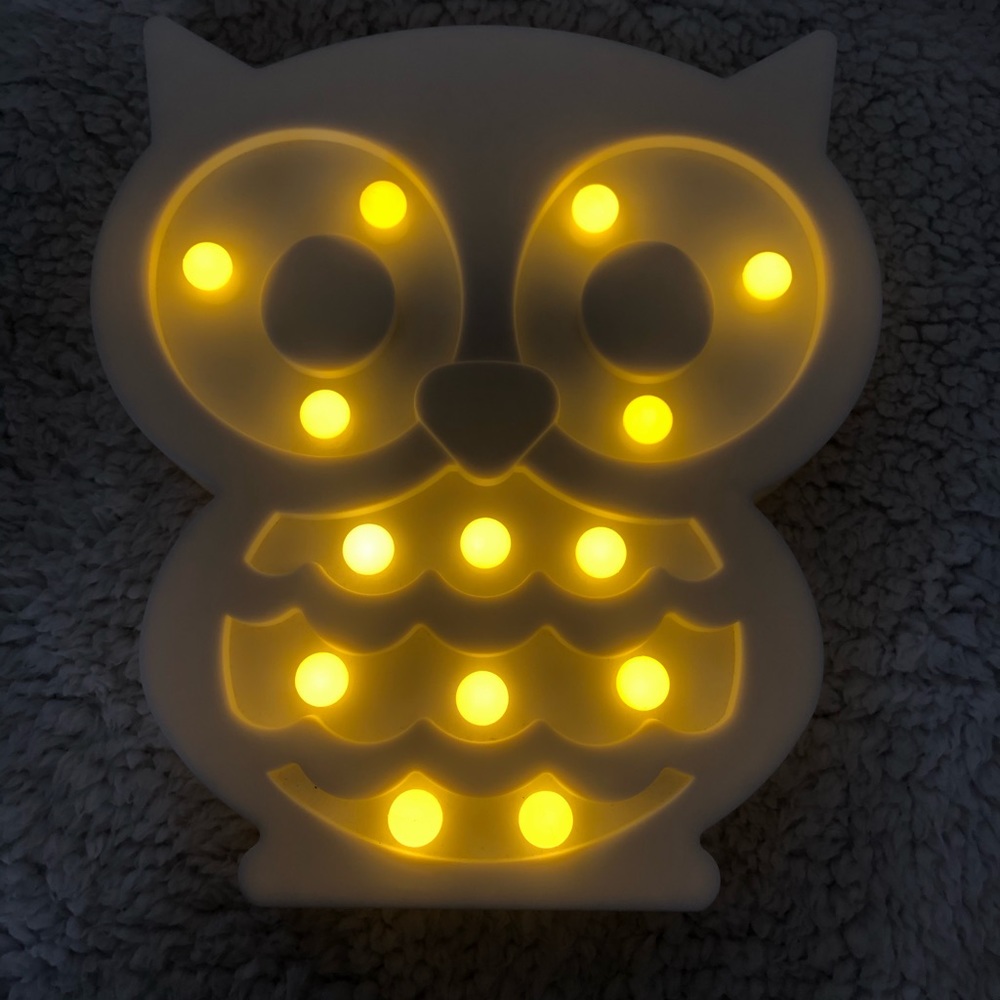 Light up owl